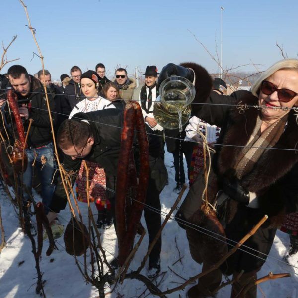 Vinceška Held at the most State-of-the-Art Winery in the Region