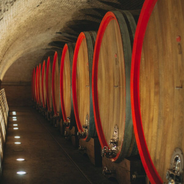 Trijumf vina Goldberg